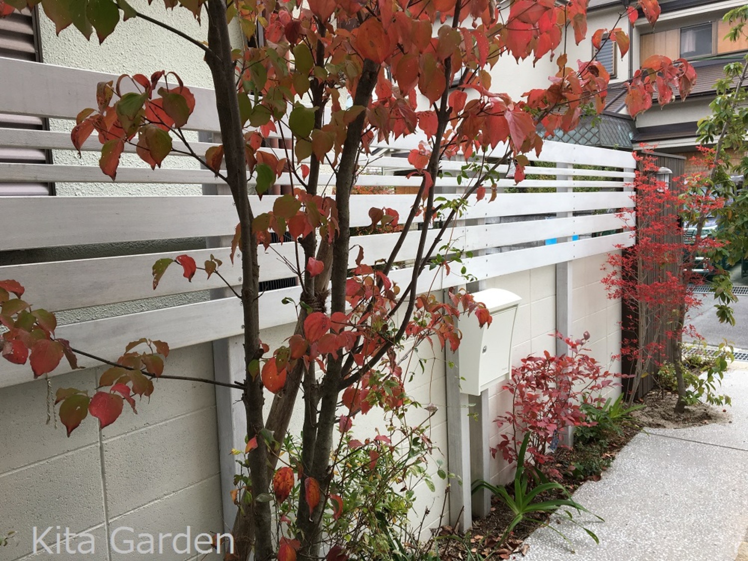 白のウッドフェンスと紅葉した庭木