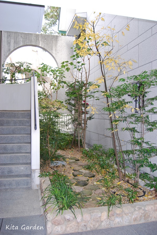 マンション階段横の庭