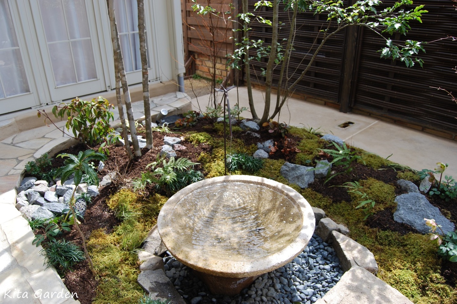 苔庭と水鉢