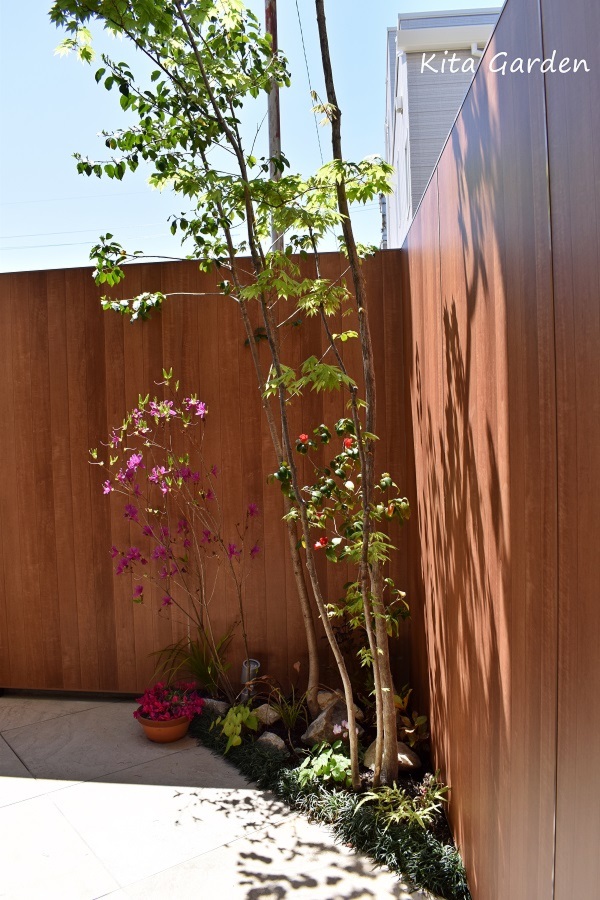 背の高い植栽と木調の目隠し塀