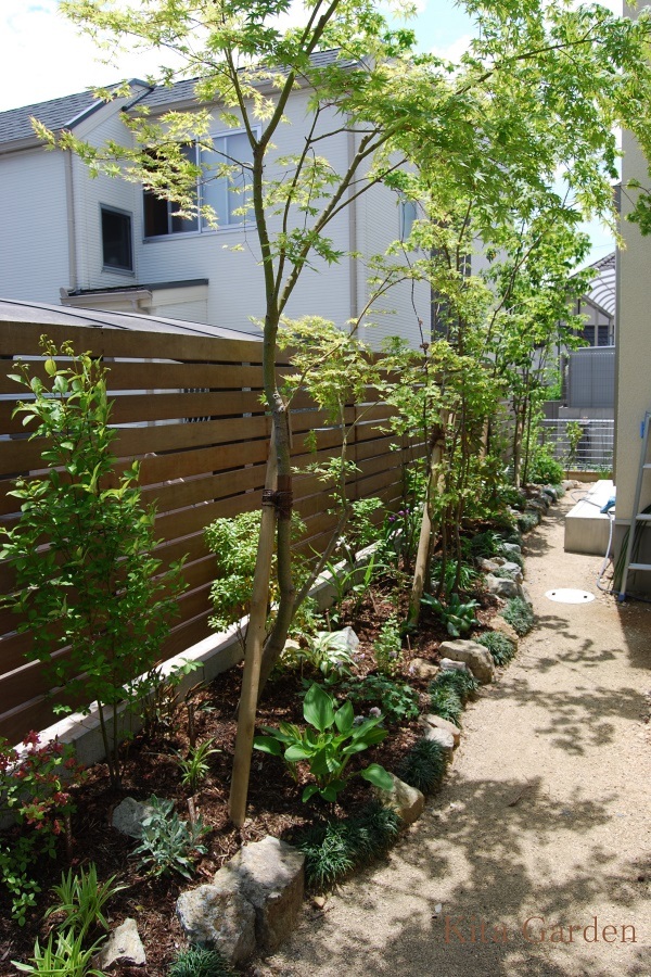 宝塚市の緑いっぱいの庭