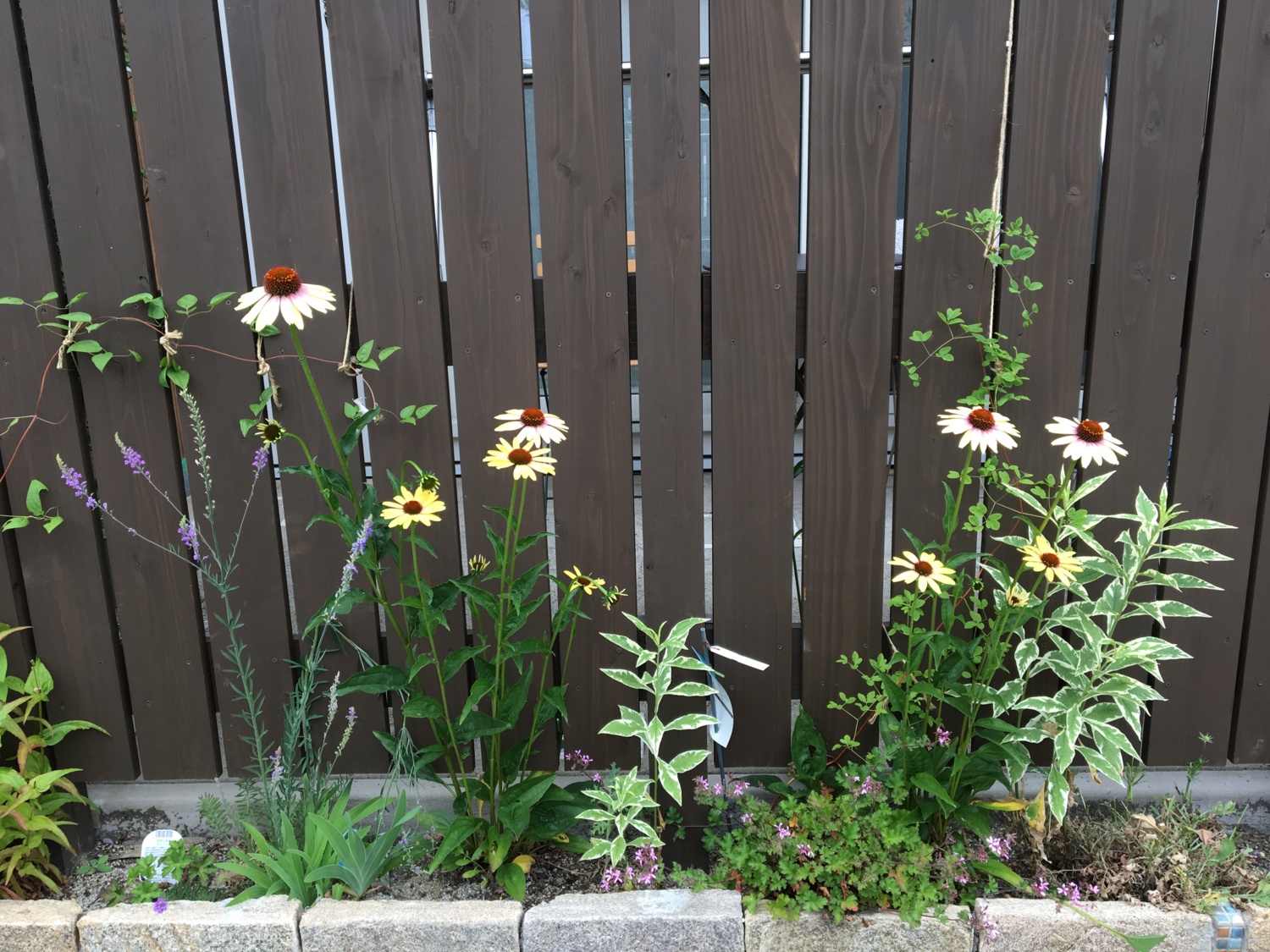 ウッドフェンスに映える花壇の草花