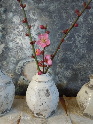 梅の花の生け花