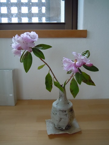 ツツジの切り花と花瓶
