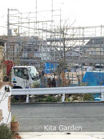 伊丹市の植木の移植工事