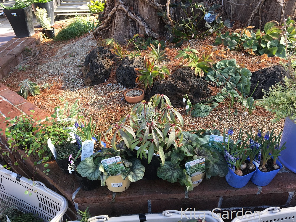 植栽の買い付け