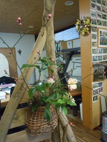 椿・紅梅を生けました。
