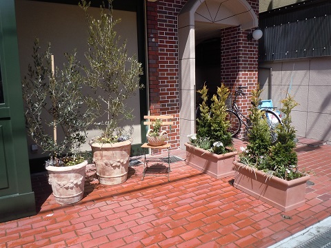 大阪市のカフェの植栽工事