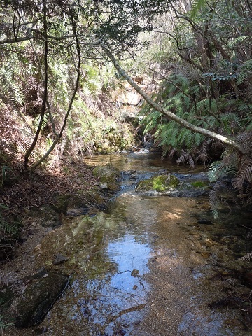 金勝山の水辺の様子