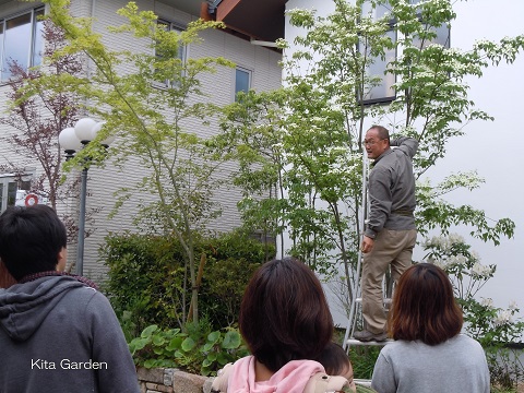植木のメンテナンス講座
