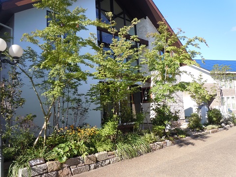 吹田市のナチュラルガーデン