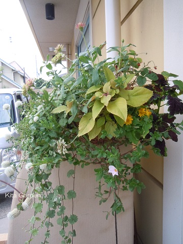 夏の花のハンギング