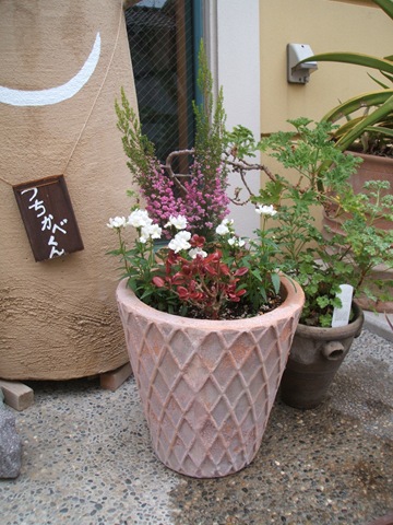 西宮市のクリスマス用コンテナの寄せ植え