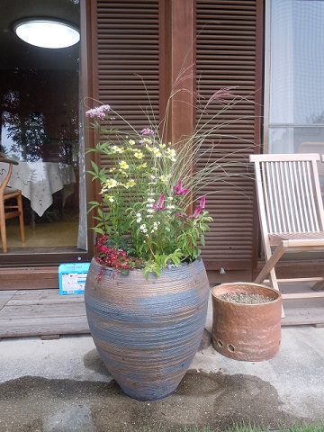 芦屋市のお花のメンテナンス