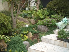 芦屋市のお庭のメンテナンス