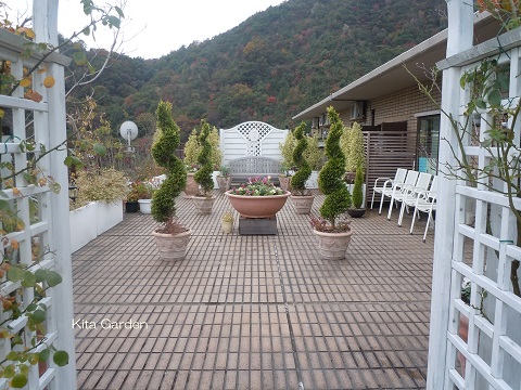 芦屋市の庭のメンテナンス