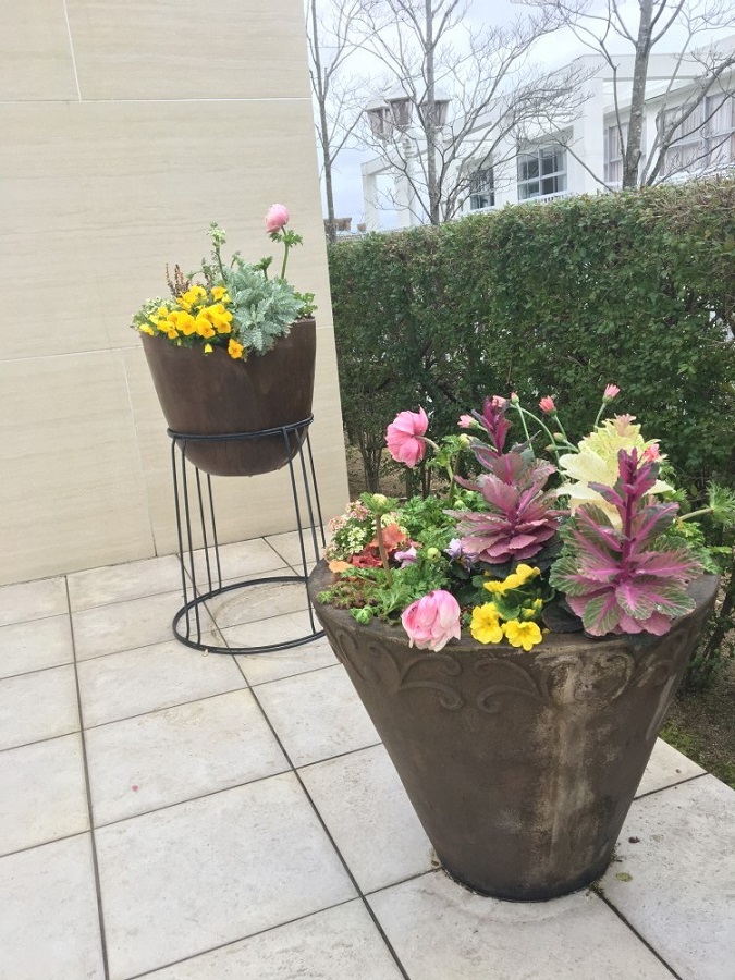 芦屋市の植栽メンテナンス工事