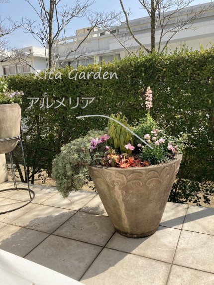 芦屋市のお花のメンテナンス