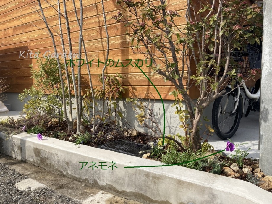 宝塚市の庭メンテナンス