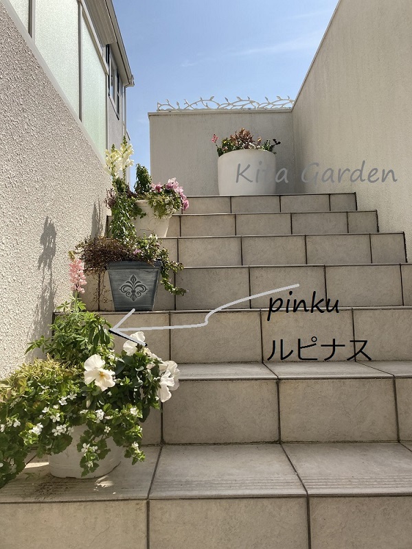 芦屋市の植栽メンテナンス工事