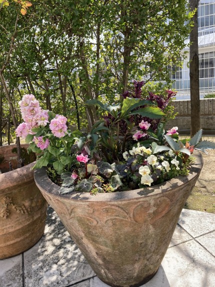 芦屋市の庭のメンテナンス