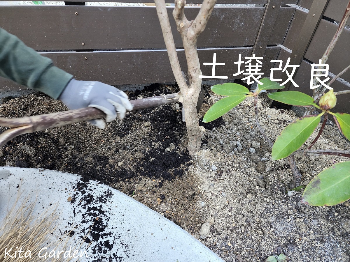 伊丹市の外構の植栽工事