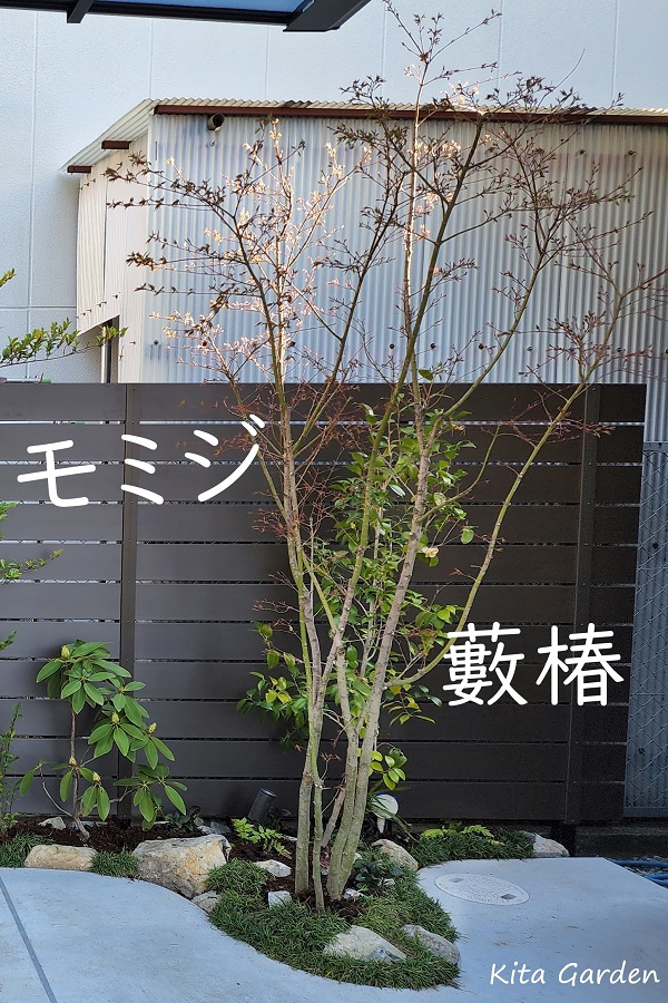 伊丹市の外構の植栽