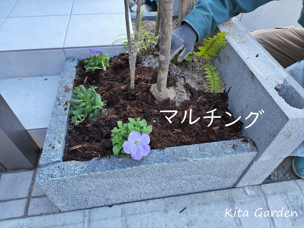 伊丹市の外構の植栽工事