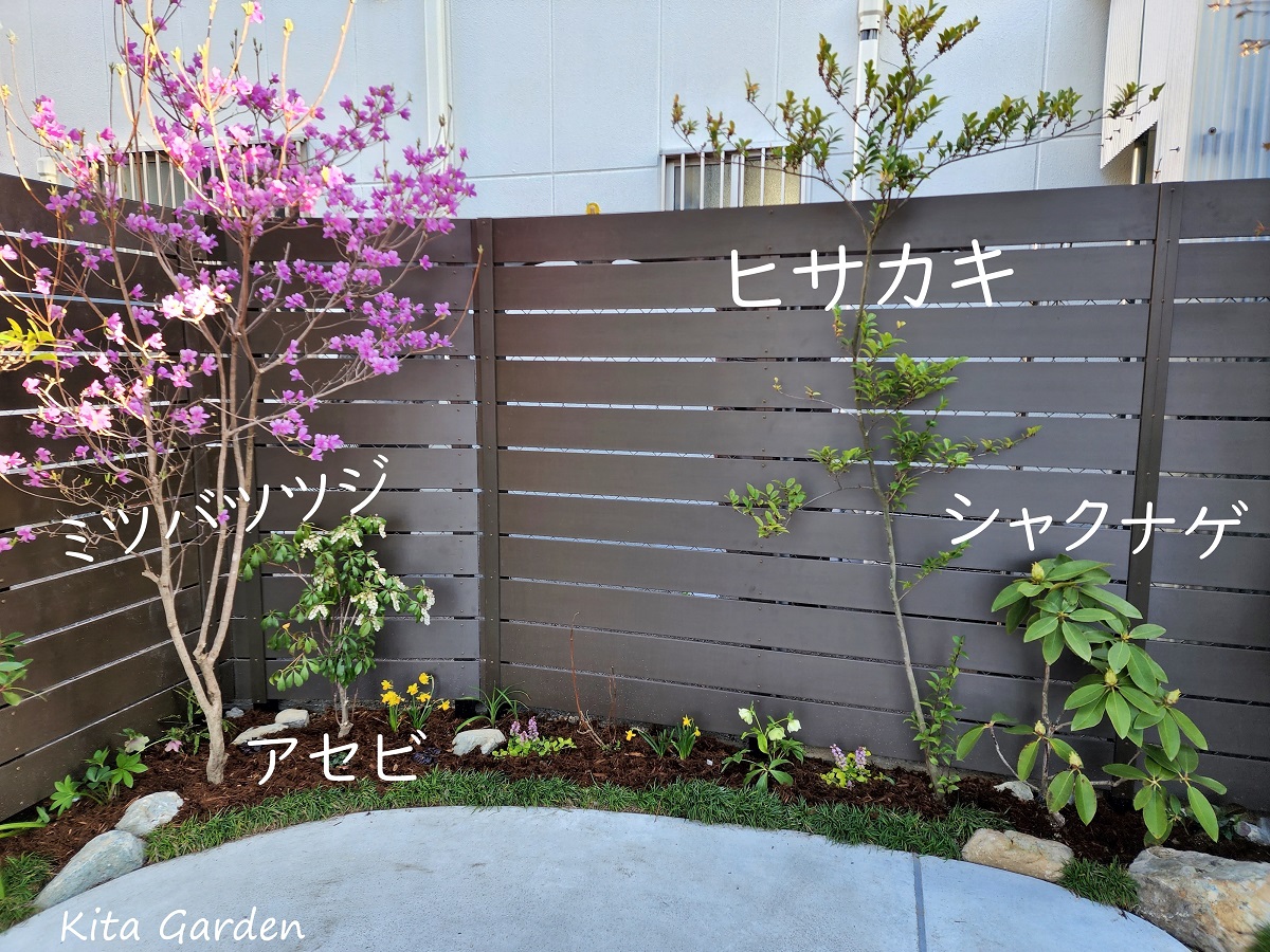 伊丹市の外構ガレージの植栽