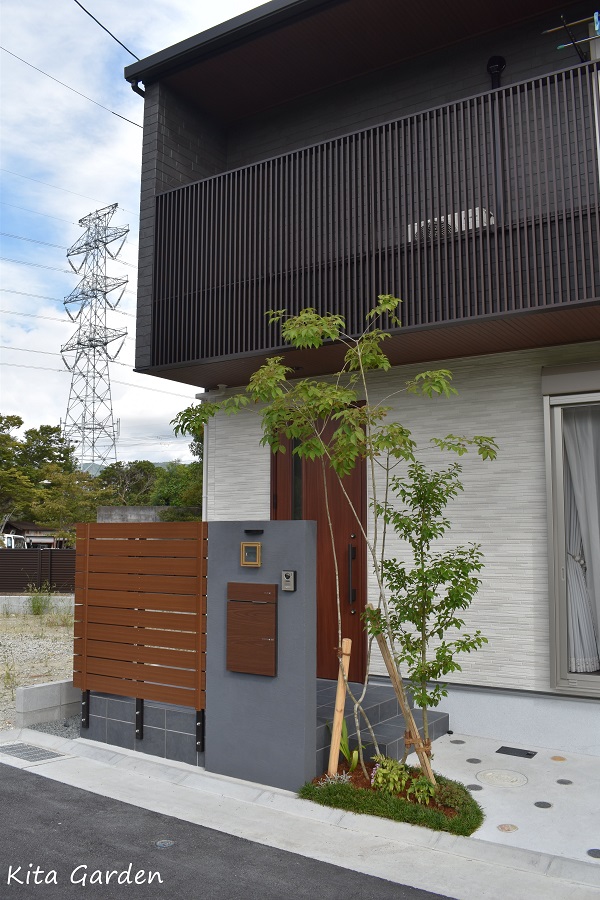 おすすめシンボルツリーのソヨゴ