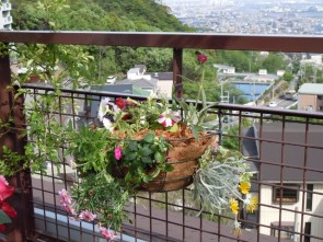 芦屋市のマンションの庭