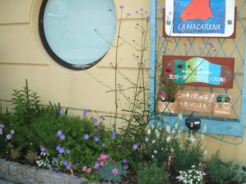 西宮のマンションの花壇