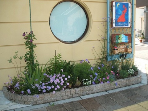 西宮のマンションの花壇