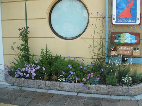 西宮のマンションの花壇のメンテナンス