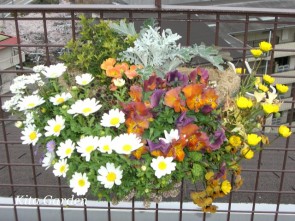 芦屋市の植栽メンテナンス