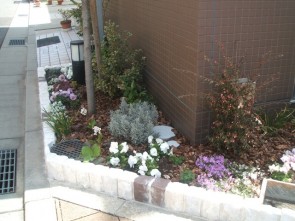 西宮市の花壇
