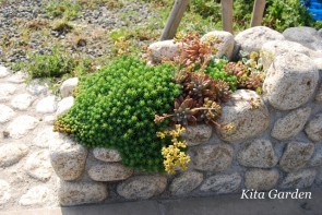 尼崎市のナチュラル外構