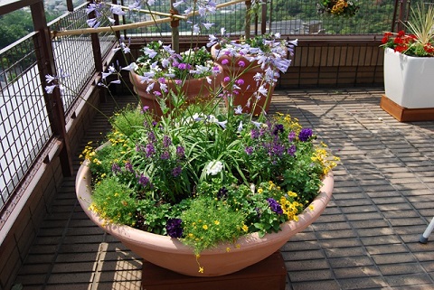 芦屋市のルーフガーデンの庭のメンテナンス