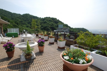 芦屋市のルーフガーデンの庭のメンテナンス