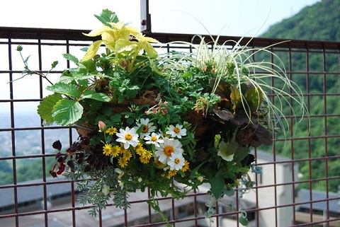芦屋市のハンギングガーデン