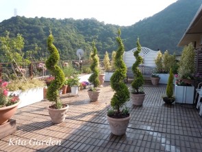 芦屋市のルーフガーデン