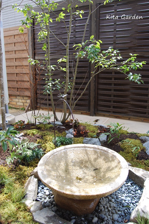 宝塚市の雑木の植栽と苔庭