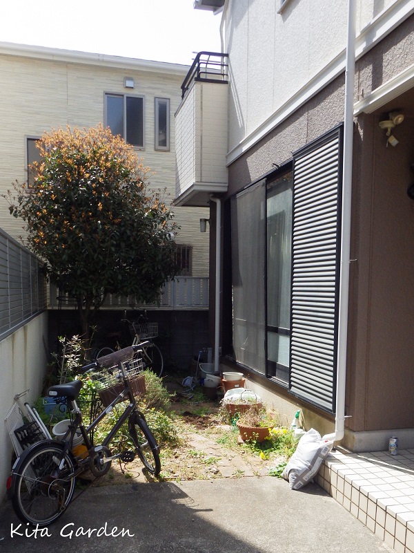 garden-entrance-gate-and-privacy-fence-before