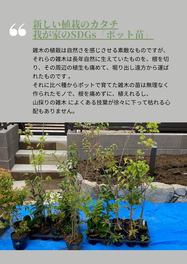 我が家のSDGs新しい植栽のカタチ