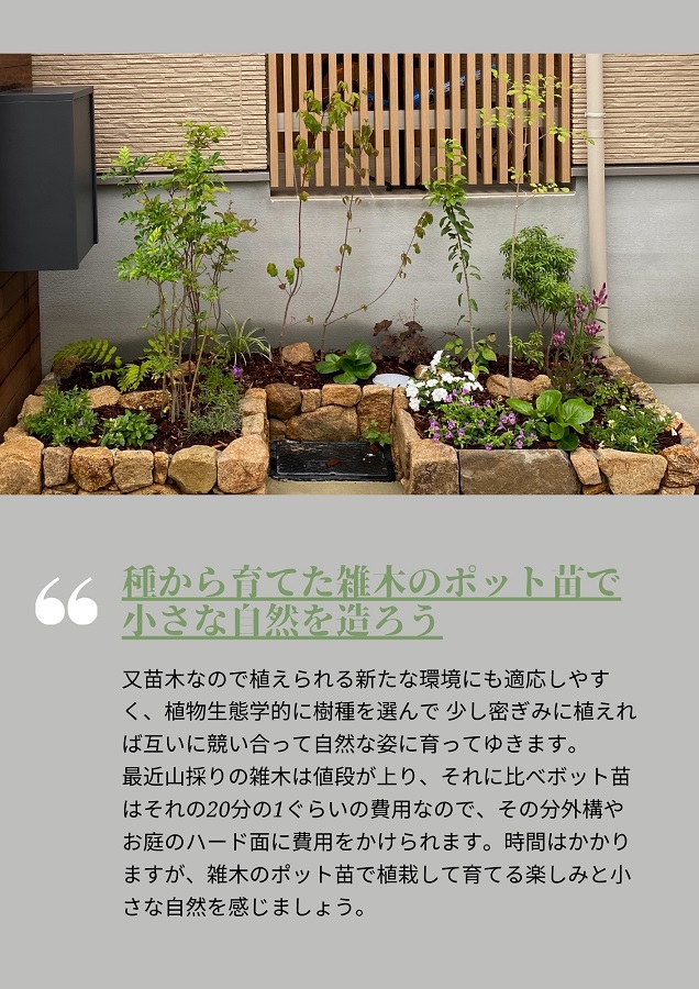 新しい植栽ポット苗