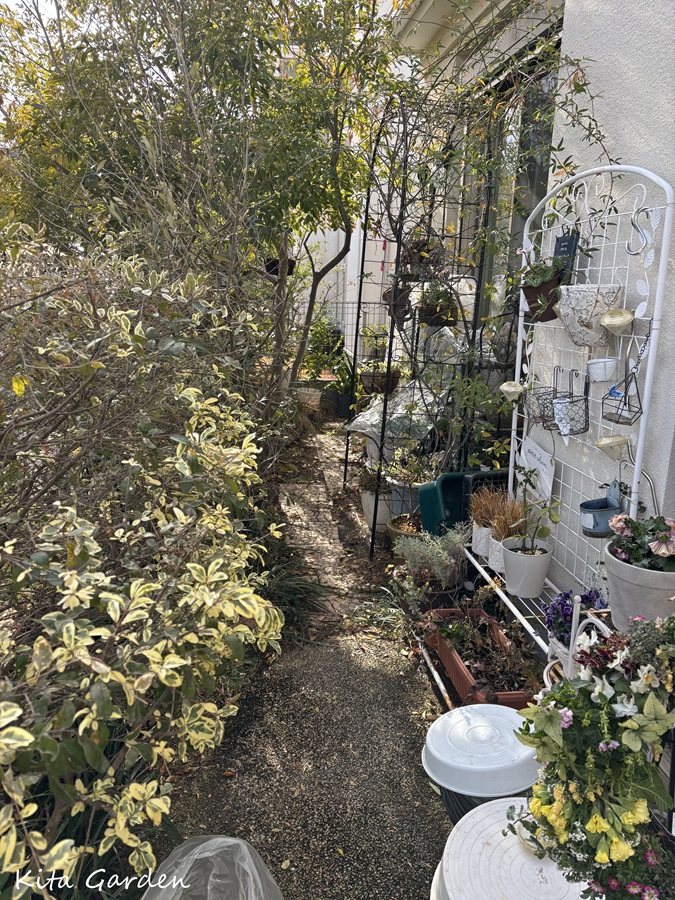 兵庫県宝塚市庭リフォーム工事サンルーム設置