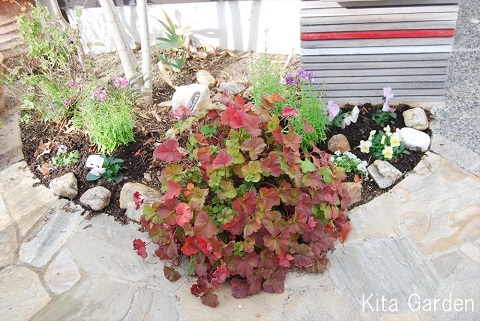 伊丹市の展示場のお花の植え替え