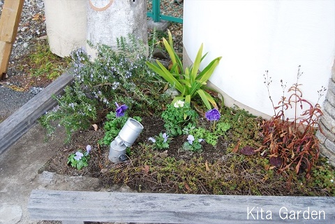 伊丹市の展示場のお花の植え替え