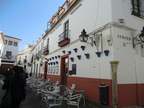 スペイン研修