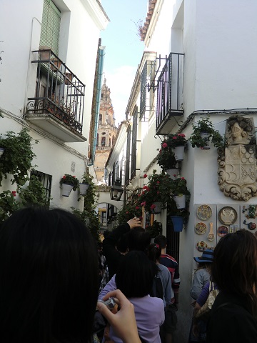 スペイン研修